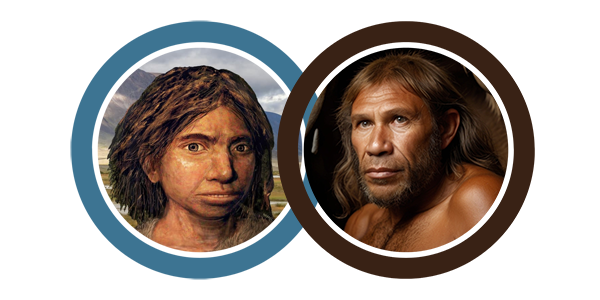 denisova mensch_neandertaler