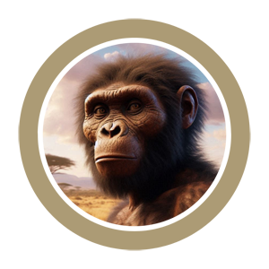 Australopithecus africanus