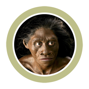 Homo floresiensis