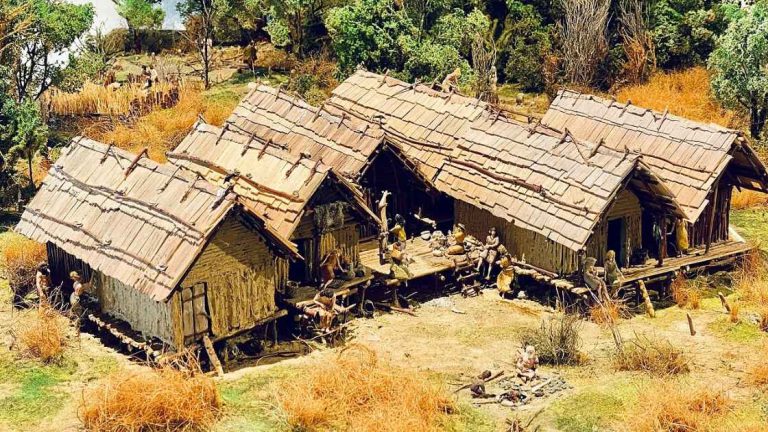 Pfahlbausiedlung Arbon-Bleiche 3