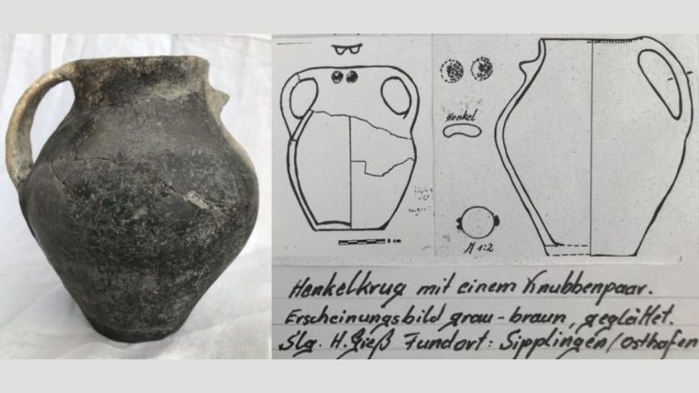 Gynäkomorphe Gefäße