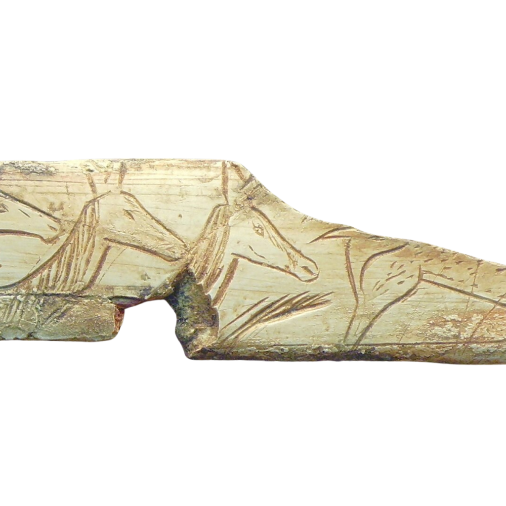 Drei Köpfe von Hirschkühen, graviert auf einen Hirsch-Knochen (Frankreich, um 12.000 vor heute)