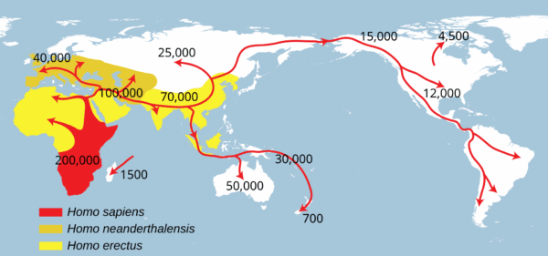Out of africa Route