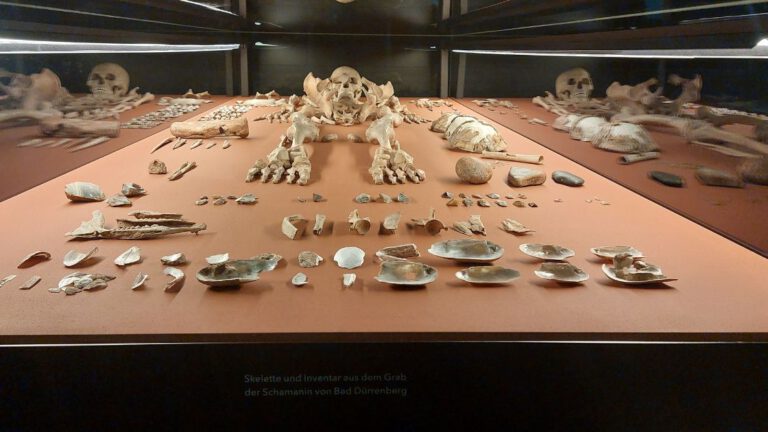 Sonderausstellung 2026 im Landesmuseum Halle