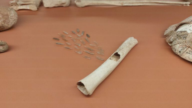 Sonderausstellung 2026 im Landesmuseum Halle